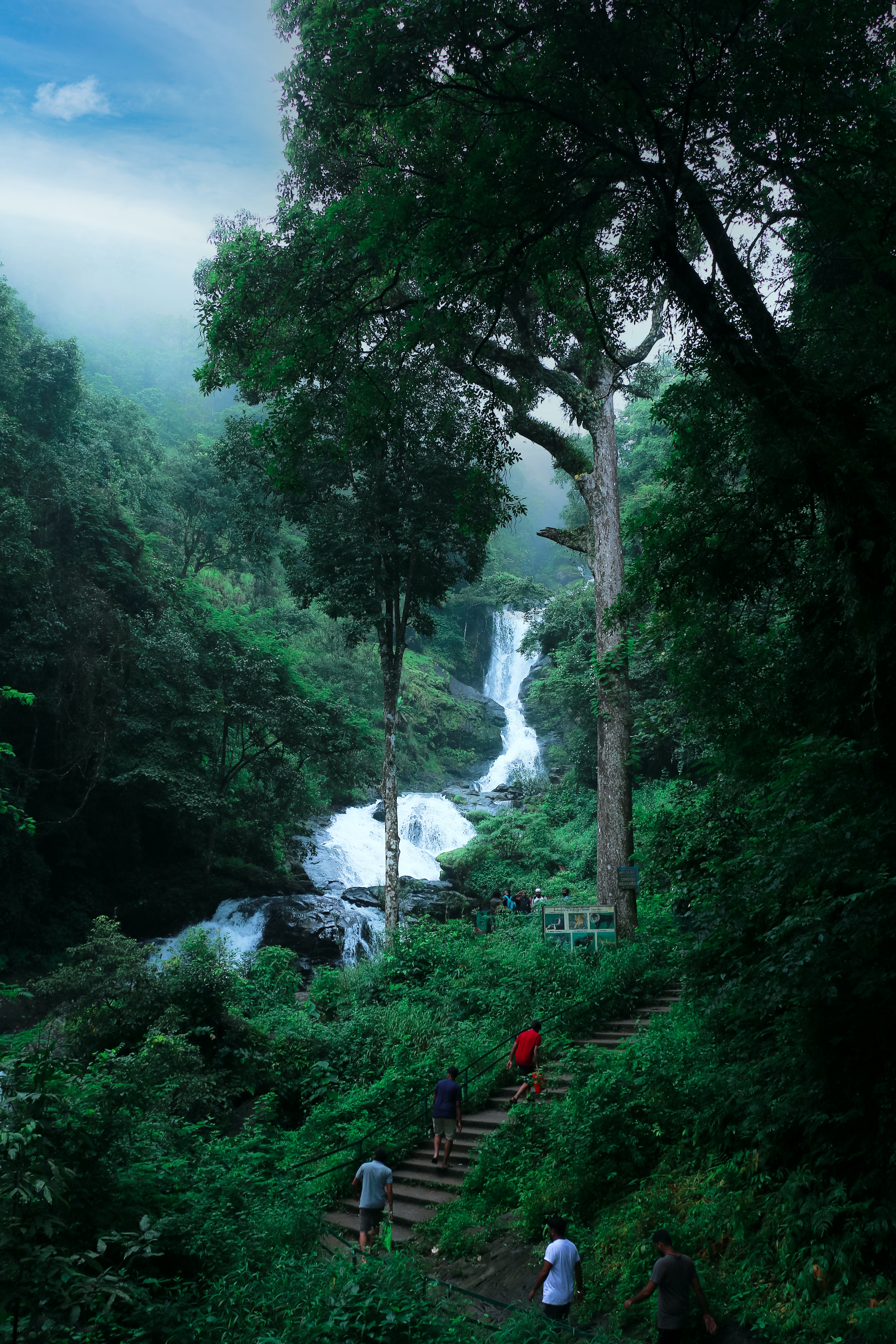 Chasing Waterfalls In Karnataka